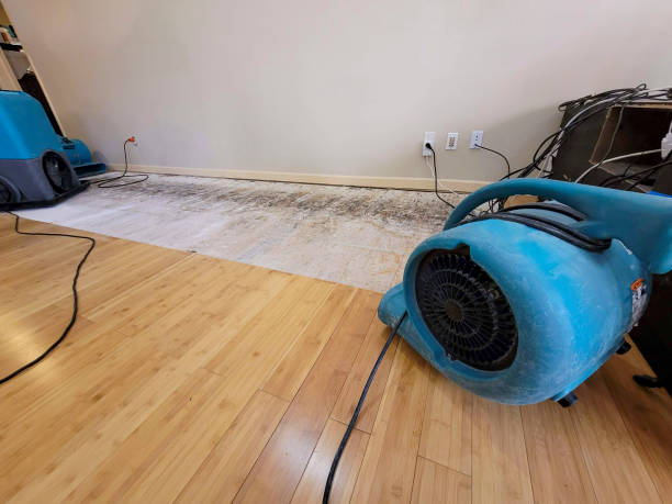 Professional Basement Flood Cleanup technician working in Upton, WY