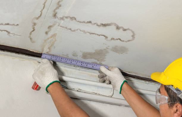 Affordable Basement Flood Cleanup solutions in Upton, WY